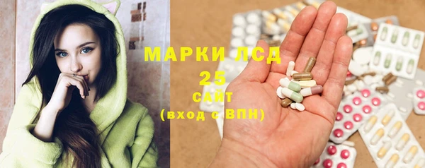 шишки Абинск