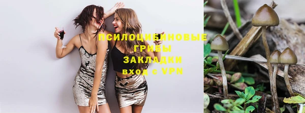 шишки Абинск