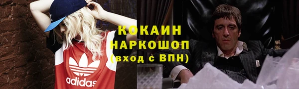 трава Абаза