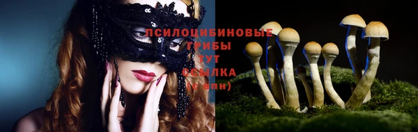 бошки Новокубанск