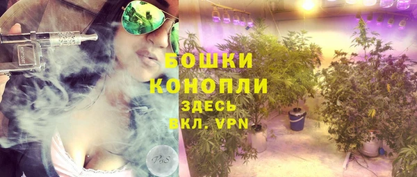 трава Абаза