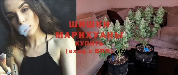 шишки Абинск