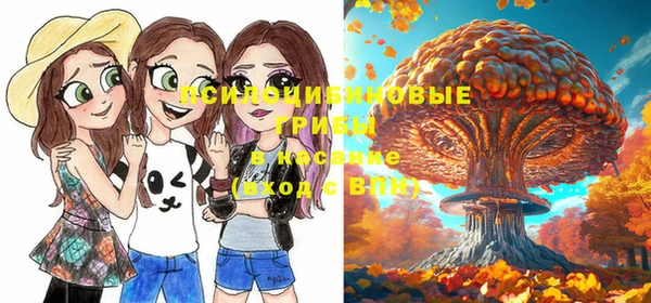 прущая мука Абдулино