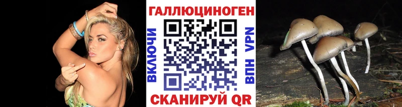 купить наркоту  Чулым  Галлюциногенные грибы Cubensis 